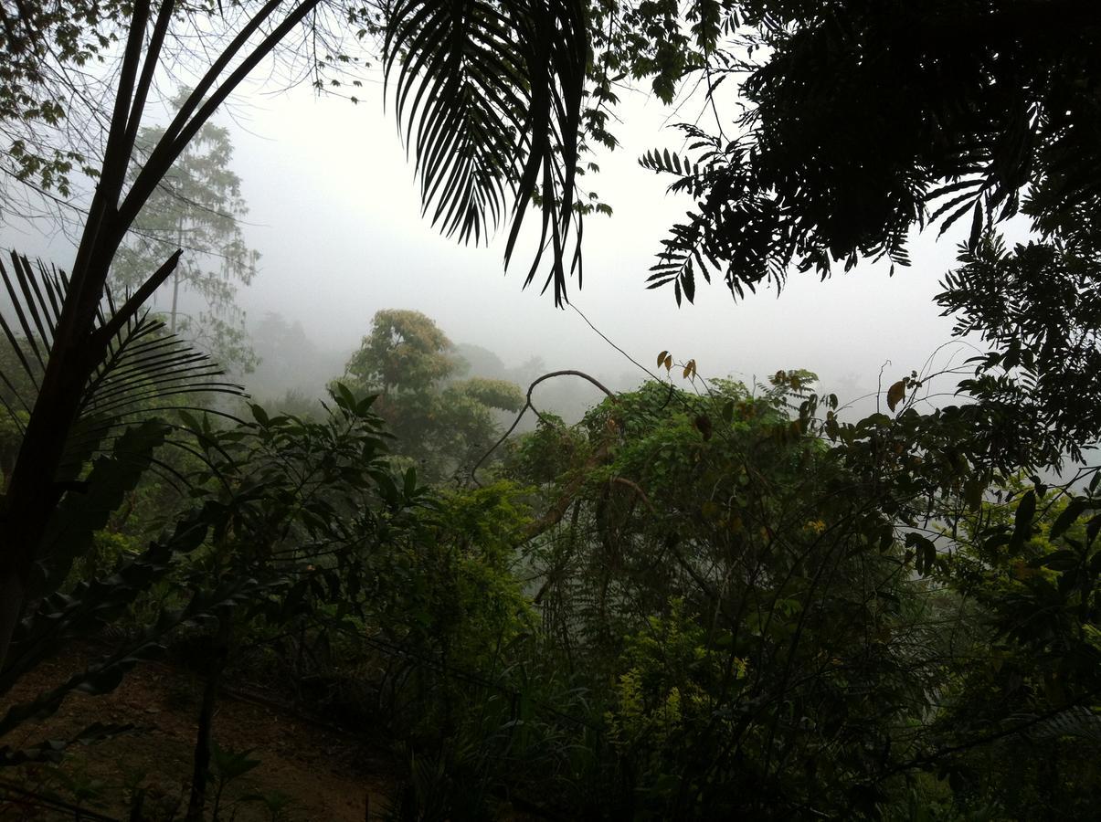 Witherspoon Lodge Kandy Bagian luar foto